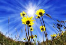 Украину накроет жара, но не «адская»: известный синоптик назвала даты и развеяла слухи