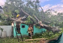 Последствия урагана на западе Украины: повалены деревья, массовые отключения электричества