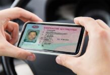 С 1 сентября в России вырастут пошлины для автовладельцев