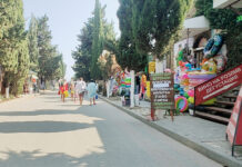 Крым — «Таврида» — Горловка: как добраться без проблем и насладиться отдыхом в разгар сезона