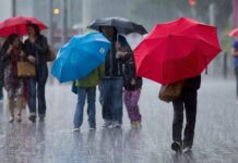 Завтра будет лить как из ведра: в каких областях Украины ждать дождей