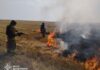 В Донецкой области полыхают пожары: какие районы под угрозой – ГСЧС