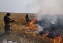 В Донецкой области полыхают пожары: какие районы под угрозой – ГСЧС