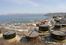 Индия может отказаться от поставок российской нефти: названы последствия