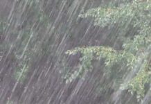 Сильнейшие ливни накроют часть Украины в ближайшие часы: названы области