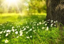 Прогноз погоды на выходные: что изменится, и где будет жара – информация от синоптика