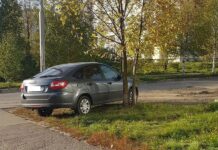 Общая сумма штрафов за неправильную парковку в Подмосковье превысила 25 млн рублей