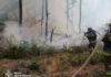 «Ценой жизни лесников»: Донбасс охвачен пожарами после обстрелов РФ, лесничество прекращает работу