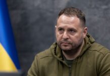 В ОП ответили Пескову по поводу встречи: «Снова тянут время»