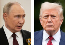 «Санкционное давление хотя бы не усилится»: эксперты спрогнозировали эффект от встречи Путина и Трампа