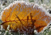 Украину подморозит в ближайшие дни: синоптики назвали области, где ждать «минусы»