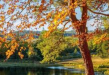 Синоптик поделилась прогнозом погоды на выходные и рассказала, когда ждать похолодания с осенними дождями