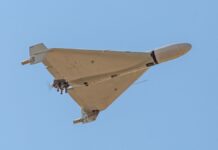 В ГУР Минобороны рассказали, сколько в России могут выпускать дронов-камикадзе