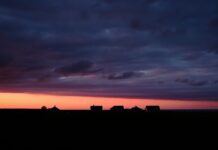 Такого в Украине не было давно: синоптики рассказали о погоде на завтра