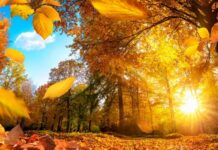 Завтра в Украине жара, но неприятный погодный «сюрприз» уже близко