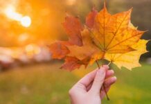 Украину ждут погодные качели: в какие области вернется тепло, а где возможен снег