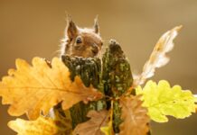 Где в Украине будет тепло, в каких регионах дожди: синоптик рассказала о погоде на выходные и скорое похолодание