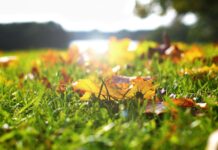 Сентябрь продолжит радовать украинцев: синоптик рассказал, в каких областях будет жарче всего