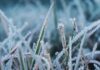 Украину накроют первые заморозки: синоптики предупредили о резком похолодании 25 сентября