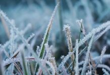 Украину накроют первые заморозки: синоптики предупредили о резком похолодании 25 сентября