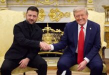 Зеленский высказал мнение, хочет ли Трамп, чтобы Украина победила в войне с Россией