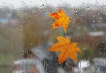 Дожди, ветер и похолодание: Украину накроет череда атмосферных фронтов