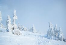 Один из регионов завалило снегом по колено: украинцев предупредили об опасности