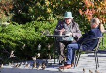 Раскрыты особенности проблем ухода за пожилыми людьми в России: без государства не обойтись