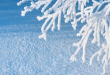 Рекордные морозы и снегопады охватят Украину и всю Европу зимой: тревожный прогноз MkWeather
