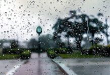 После ливней – солнце: каким будет уикенд 11–12 октября