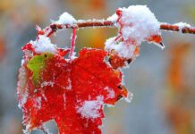 Украине пообещали ранний приход зимы: когда ударят первые сильные морозы