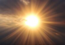 Завтра в Украине резкое потепление: в каких областях будет теплее всего