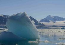 Арктика ближе