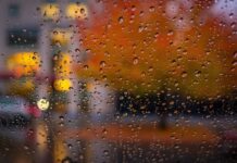 Кому завтра захватить зонт: в каких областях Украины в понедельник ожидается дождь