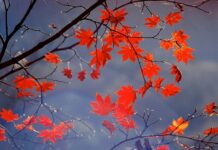 Холодный фронт с дождями идет в Украину: в каких областях ждать непогоду 4 ноября