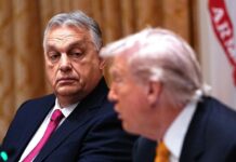 Орбан добился у Трампа исключения для поставок российской нефти по «Дружбе»