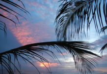 Новогодняя ночь под пальмой подешевела: хозяева отелей раскрыли причину