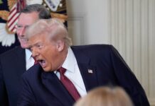 Трамп может хоть обораться: Эр-Рияд твёрдо поддерживает Москву в нефтяной игре