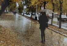Осенняя сырость и почти летнее тепло: погода снова удивит украинцев