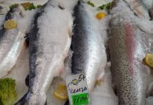 Что не так с рыбными четвергами: почему цены на лосось и минтай не снизятся