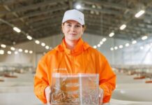 Более 1,3 млн мальков ценных рыб выпустили нефтяники в водоемы России в 2025 году