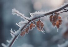 Аномальное тепло в Украине сменится похолоданием, которое больше всего затронет два региона