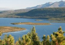 Российский бизнес обсуждает изменения в зеленой повестке