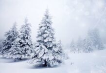 Снег и морозы? Синоптики рассказали, какой будет погода в Украине на Новый год