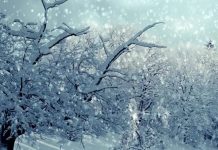 Один циклон уйдет, но страну накроет следующий, морозов до –30° не будет: к чему готовиться украинцам