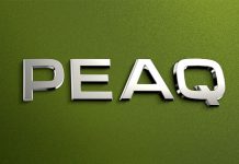 Skoda Peaq станет новым электрическим флагманом марки