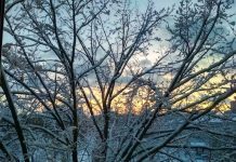 Украину ждет одна из самых морозных недель зимы: в каких областях будет холоднее всего