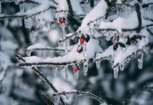 Очередная волна сильных морозов в Украине: как долго они продлятся и где будет холоднее всего
