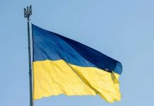 Доверие президенту Зеленскому, выборы в Украине и борьба с коррупцией: что показал опрос – КМИС