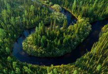 «Роснефть» вошла в число лидеров ESG-рейтингов российских и международных агентств